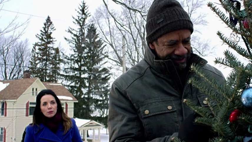 ნაძვის ხე სახურავზე  ქართულად -  The Rooftop Christmas Tree