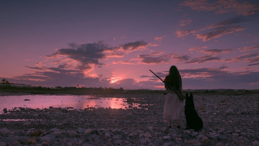 საფანტი  ქართულად -  Birdshot