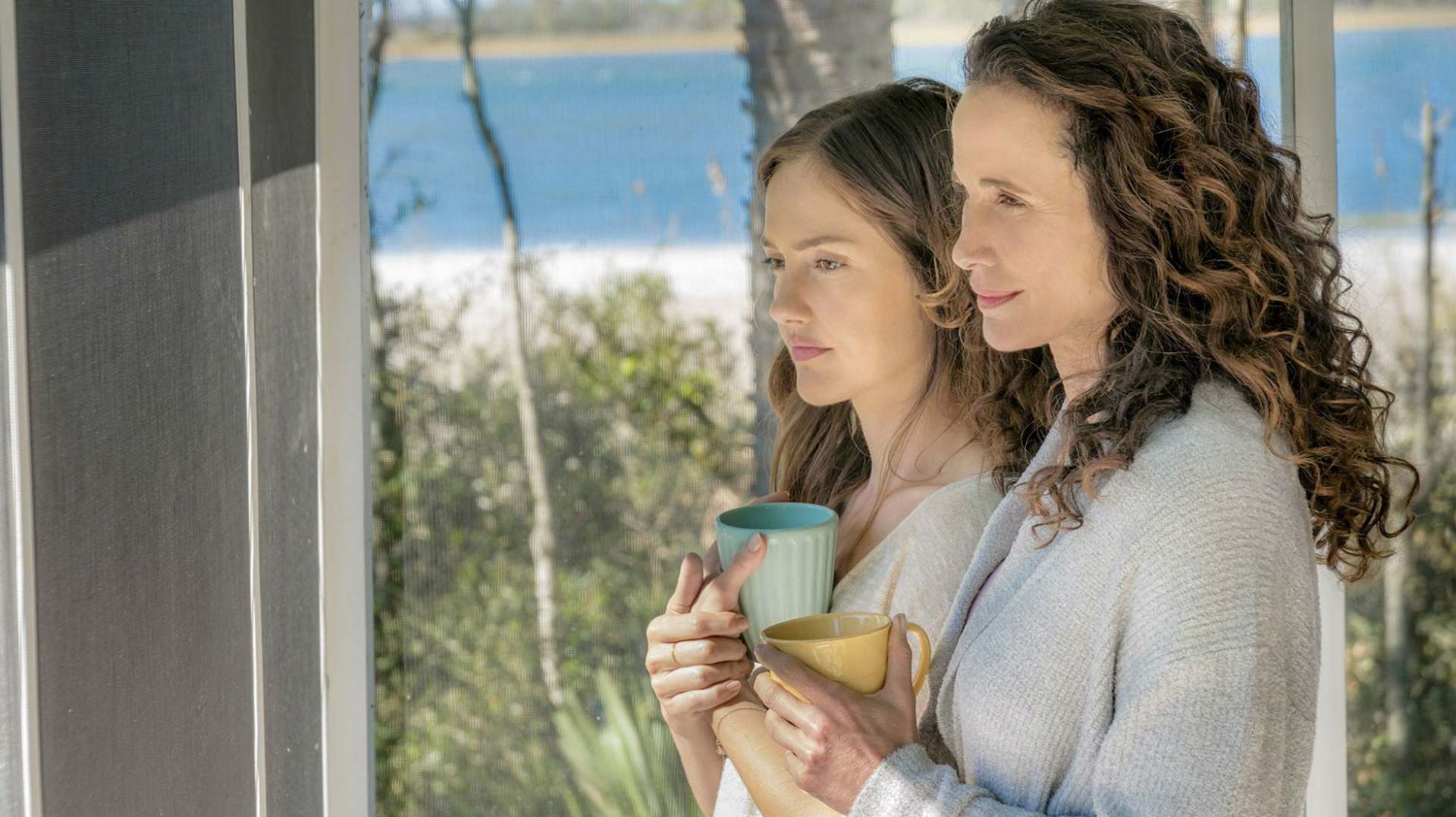 სახლი სანაპიროზე  ქართულად -  The Beach House