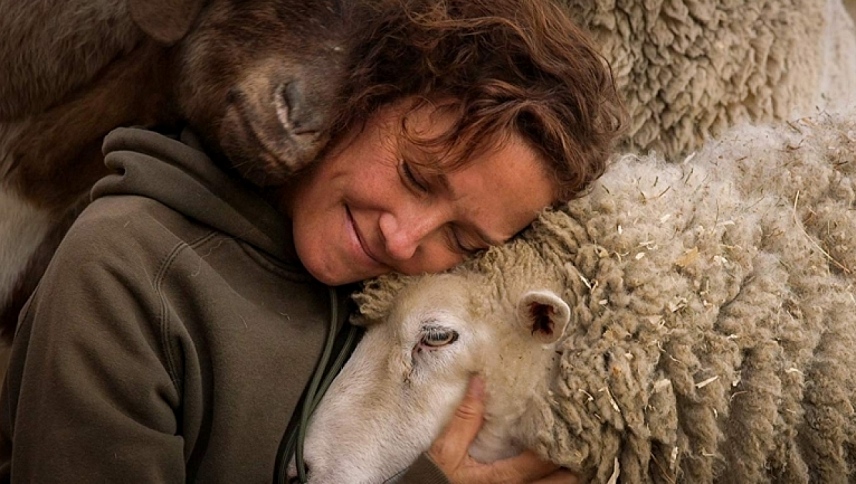 ხორცის დასასრული  ქართულად -  The End of Meat