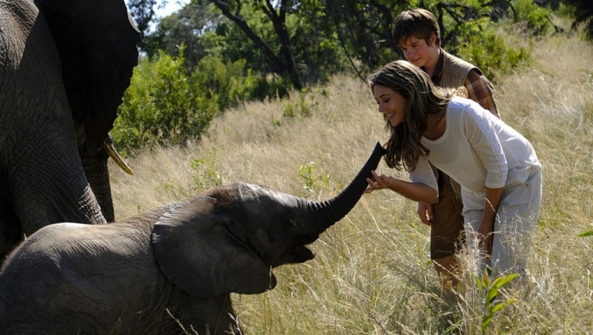 სპილოს თავგადასავალი  ქართულად -  An Elephants Journey