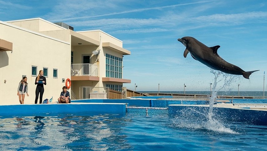 დელფინი ბერნი  ქართულად -  Bernie The Dolphin