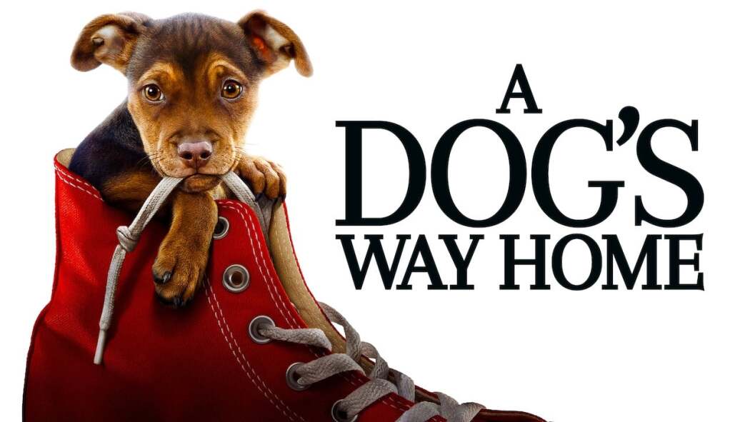 ძაღლის გზა შინისაკენ  ქართულად -  A Dogs Way Home