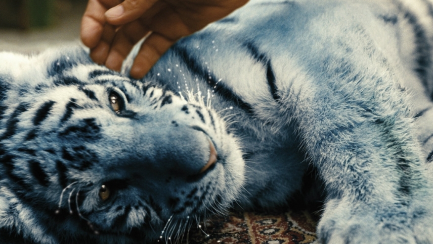 ლურჯი ვეფხვი  ქართულად -  The Blue Tiger