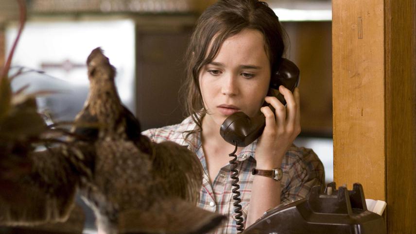 პიკოკი  ქართულად -  Peacock