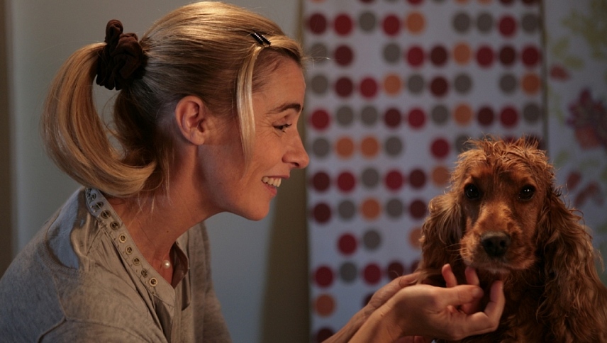 ბამბუ  ქართულად -  Bambou