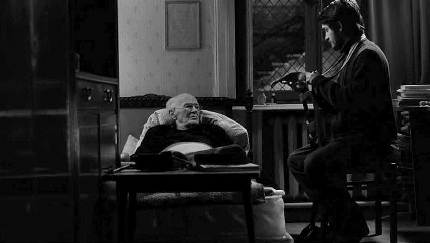 ბუდე  ქართულად -  Le nid