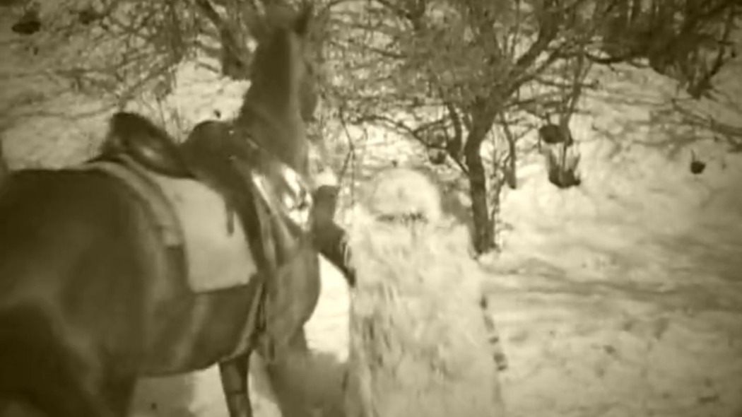 ორი ხევსური