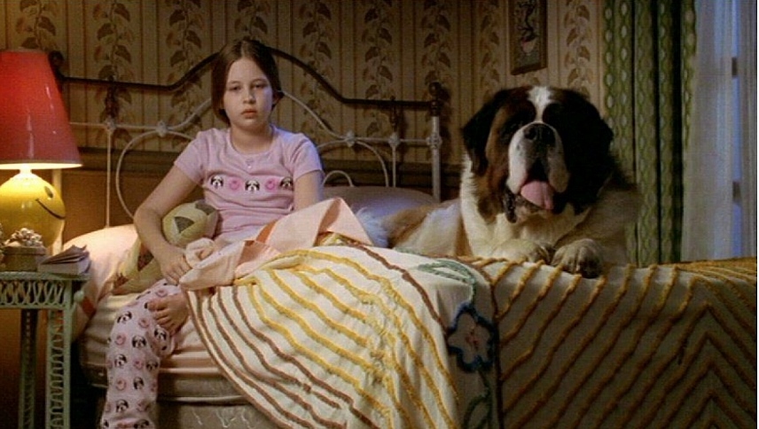 ბეთჰოვენი 5  ქართულად -  Beethovens 5th