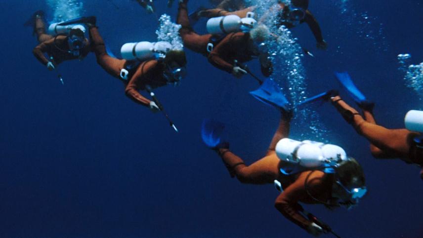 სფერული მეხი  ქართულად -  Thunderball