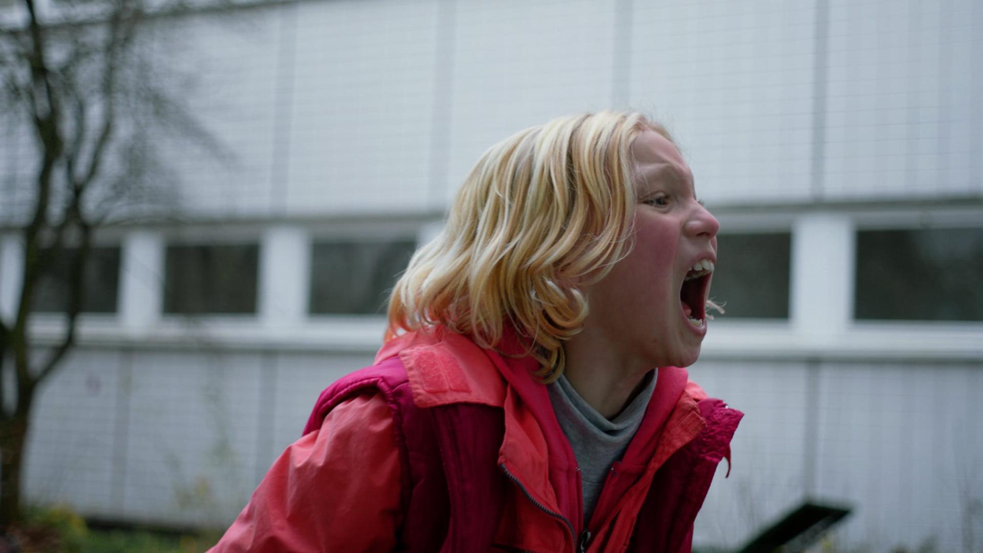 სისტემის დამანგრეველი  ქართულად -  System Crasher