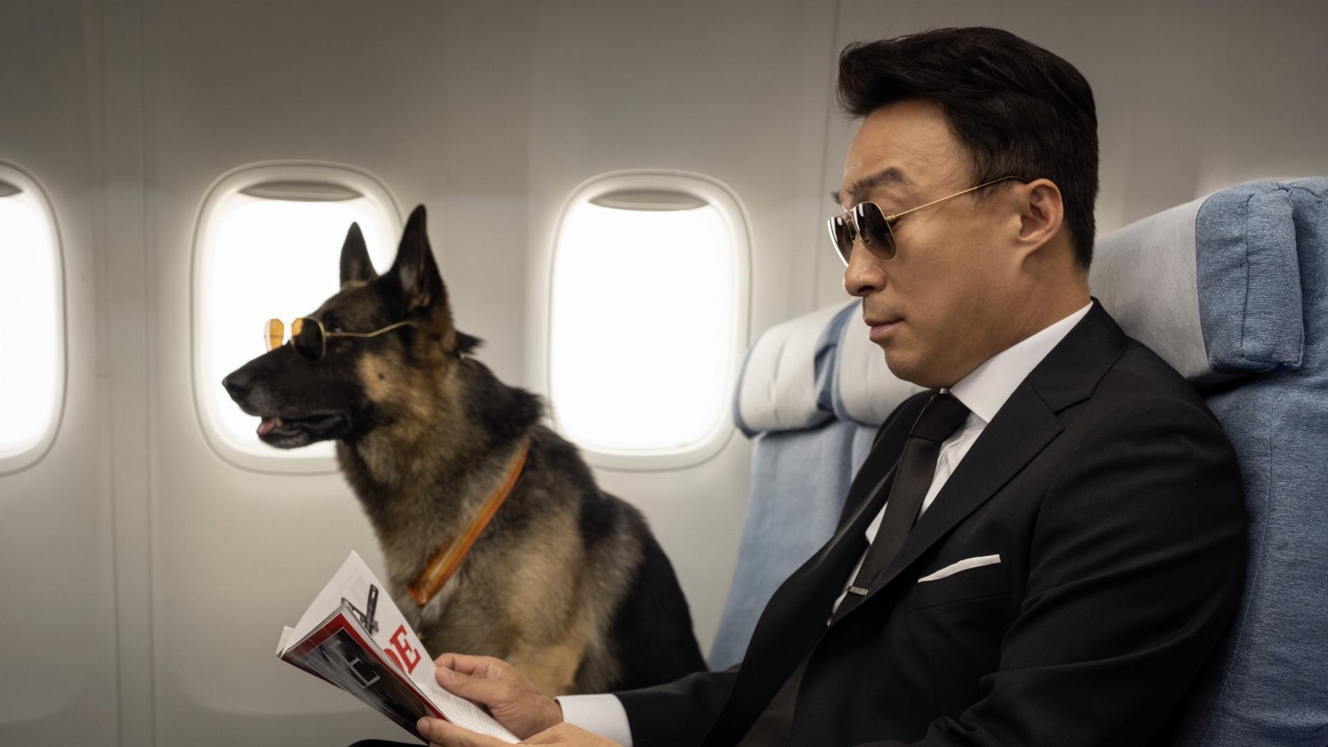 ბატონი ზოოპარკი:  ძალიან მნიშვნელოვანი დაკარგული პირი  ქართულად -  Mr. Zoo: The Missing VIP