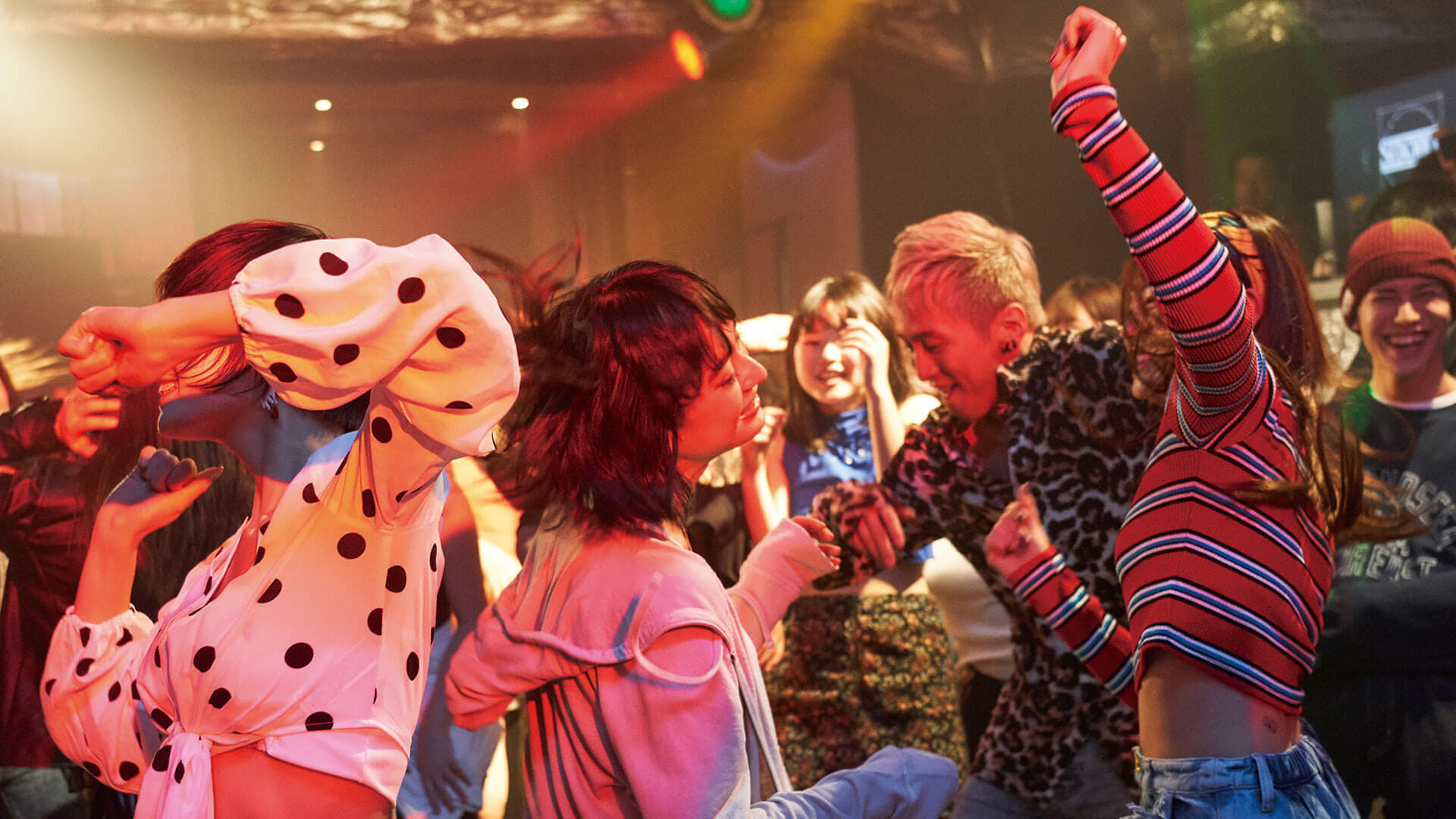 ჩივავა  ქართულად -  Chiwawa