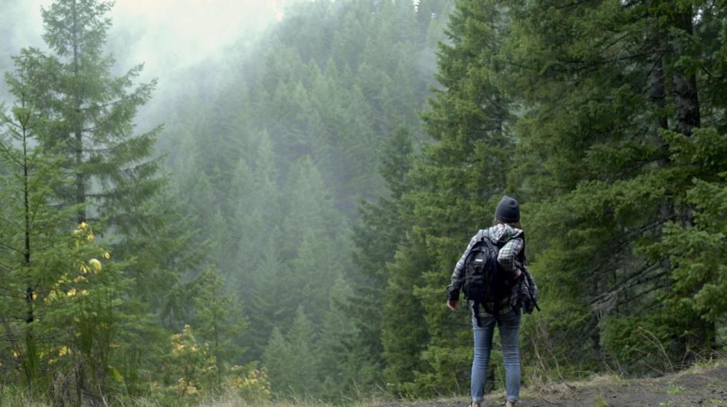 მიყრუებული ადგილი  ქართულად -  Off the Beaten Path