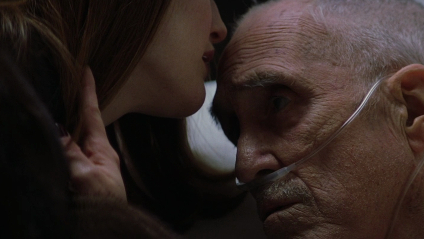 მაგნოლია  ქართულად -  Magnolia