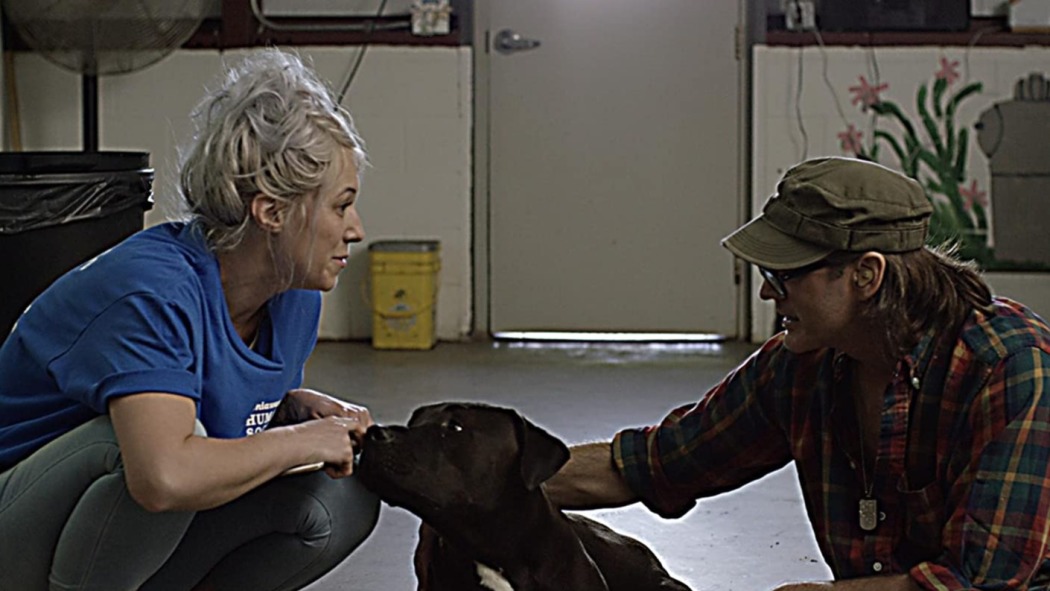 MBF: Mans Best Friend