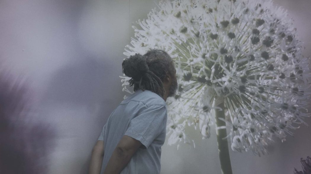 აქ ვართ, რომ ვიცხოვროთ  ქართულად -  Here for Life