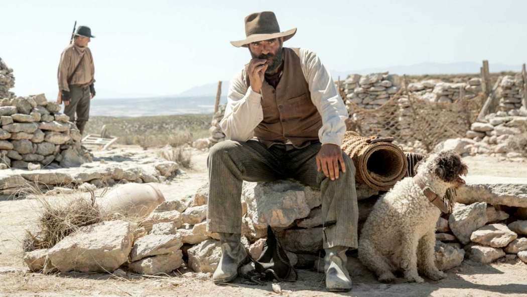 ყველას დასანახად  ქართულად -  Out in the Open