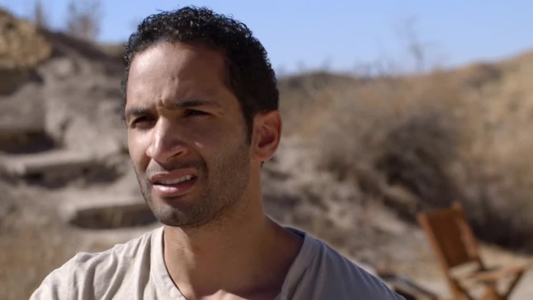 ყალბი ფერები  ქართულად -  False Colors