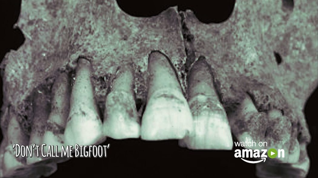 არ დამიძახო იეტი  ქართულად -  Dont Call Me Bigfoot