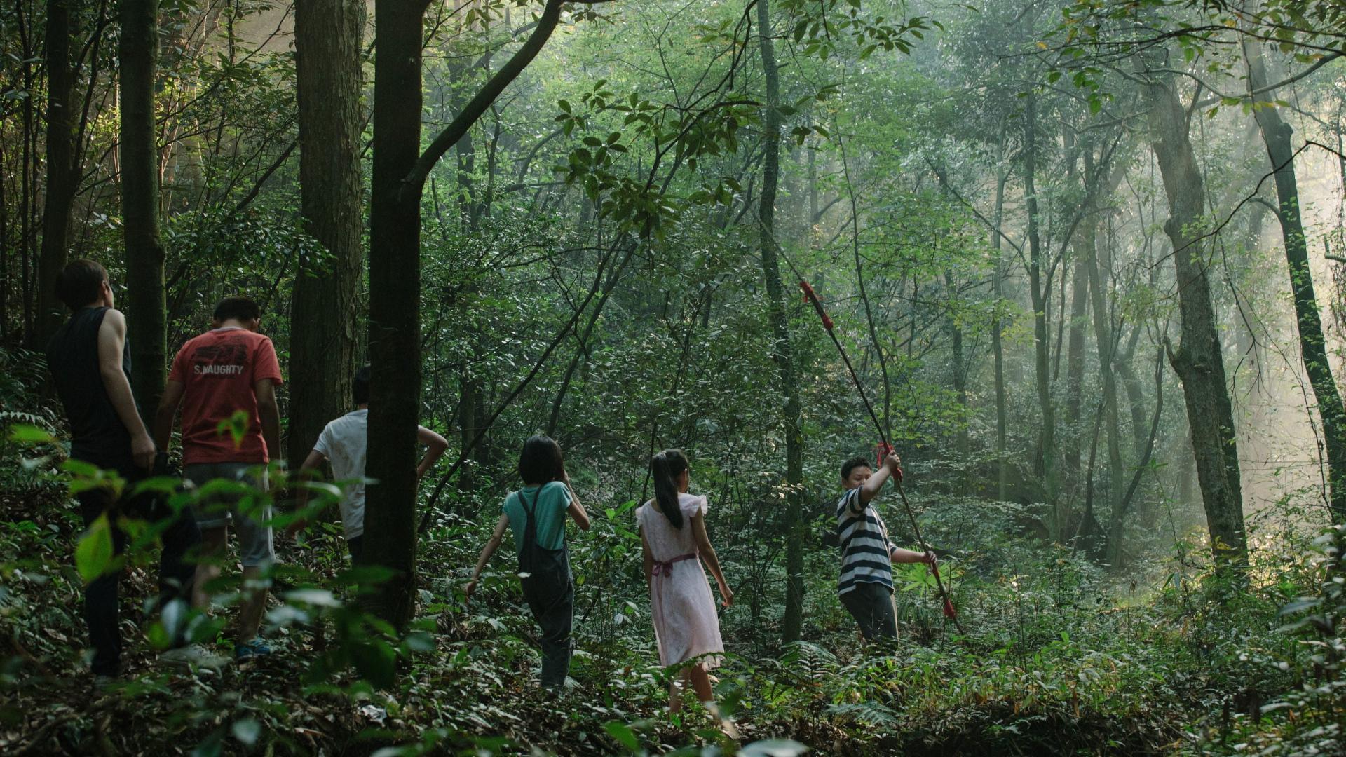 გარეუბნის ჩიტები  ქართულად -  Suburban Birds