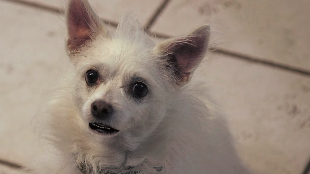 ამ საქმეს სამი  სჭირდება  ქართულად -  It Takes Three