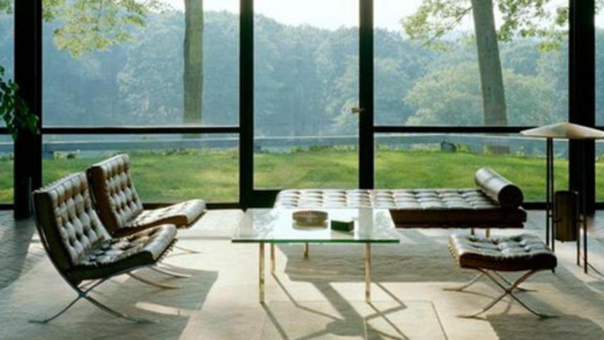 ფილიპ ჯონსონი: ექსცენტრიული არქიტექტორის დღიური  ქართულად -  Philip Johnson: Diary of an Eccentric Architect