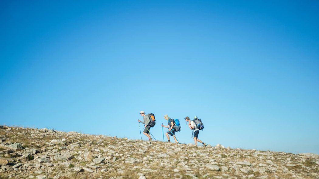 უკულელე  ქართულად -  Ukulele