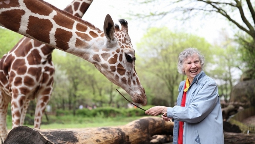 ქალი, რომელსაც უყვარს ჟირაფები  ქართულად -  The Woman Who Loves Giraffes