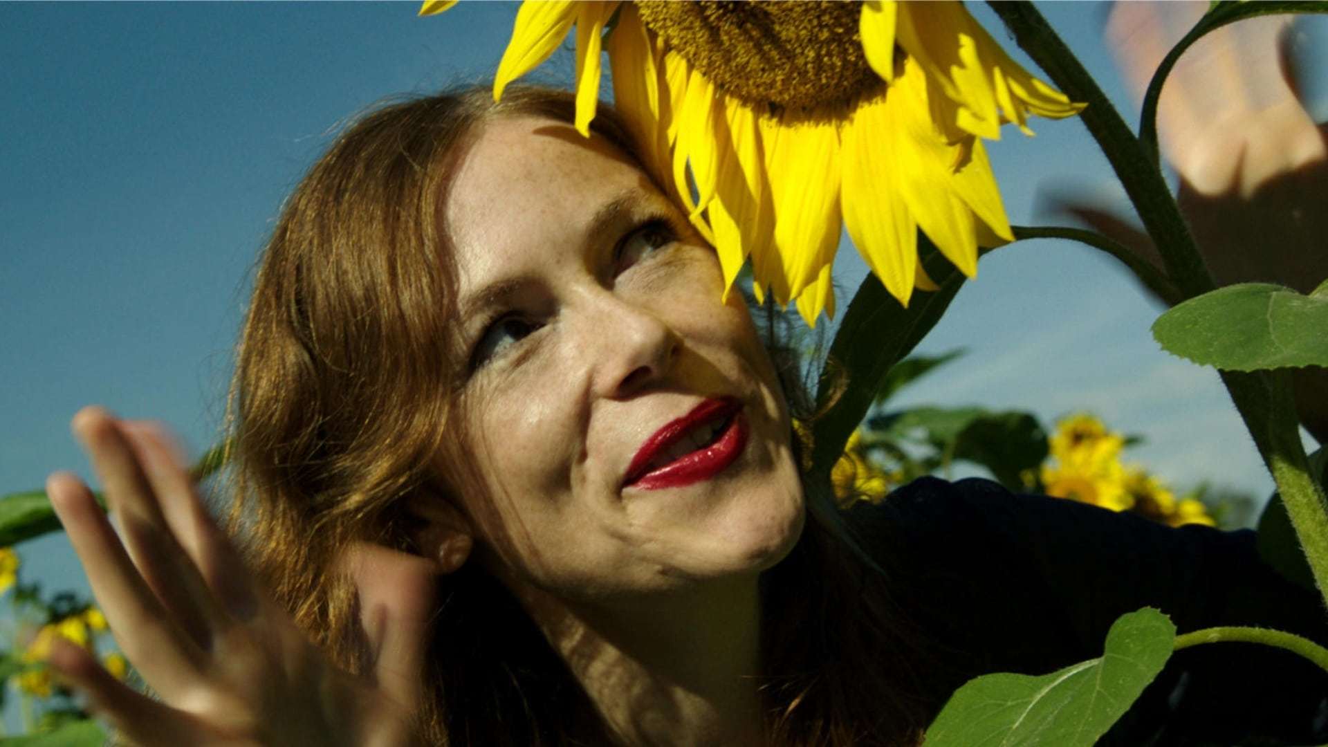 ცხოვრების გემო  ქართულად -  Taste of Life