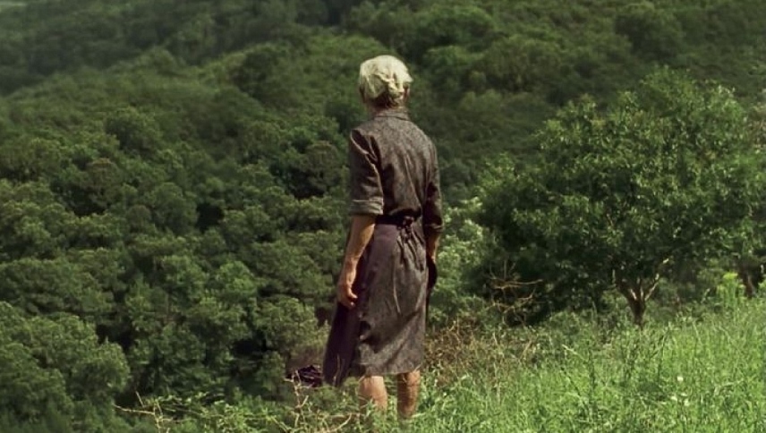 ცეცხლი გადმოვა  ქართულად -  Fire Will Come