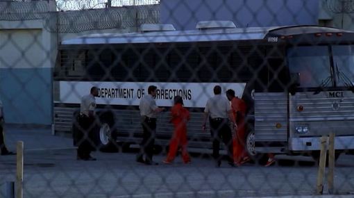 სიკვდილის ბეჭედი  ქართულად -  Ring of Death