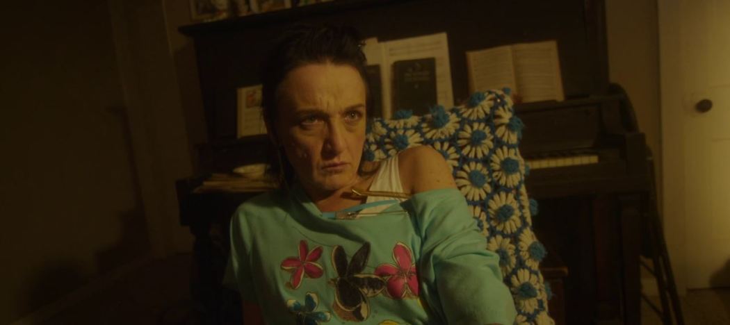 ველი ინი  ქართულად -  Valley Inn