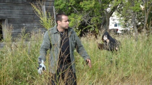 კიბერნეტიკული გათიშვა  ქართულად -  Cybernetic Showdown