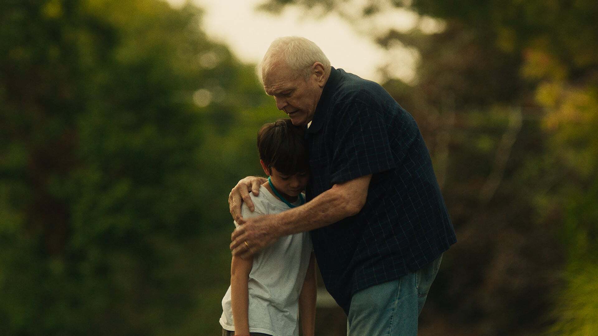 გზები  ქართულად -  Driveways