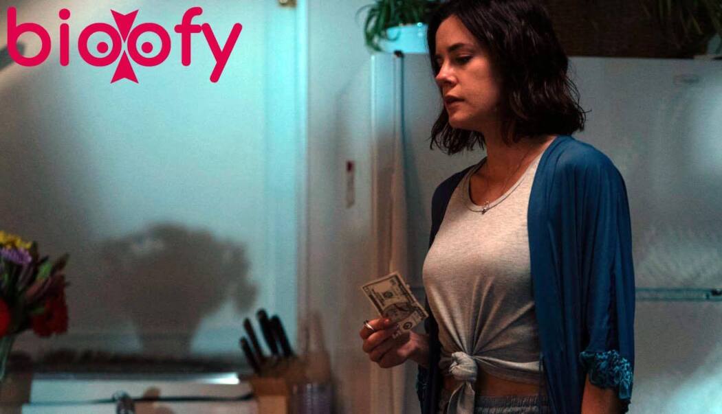 მკვლელი სასტუმრო სახლში  ქართულად -  The Killer in the Guest House