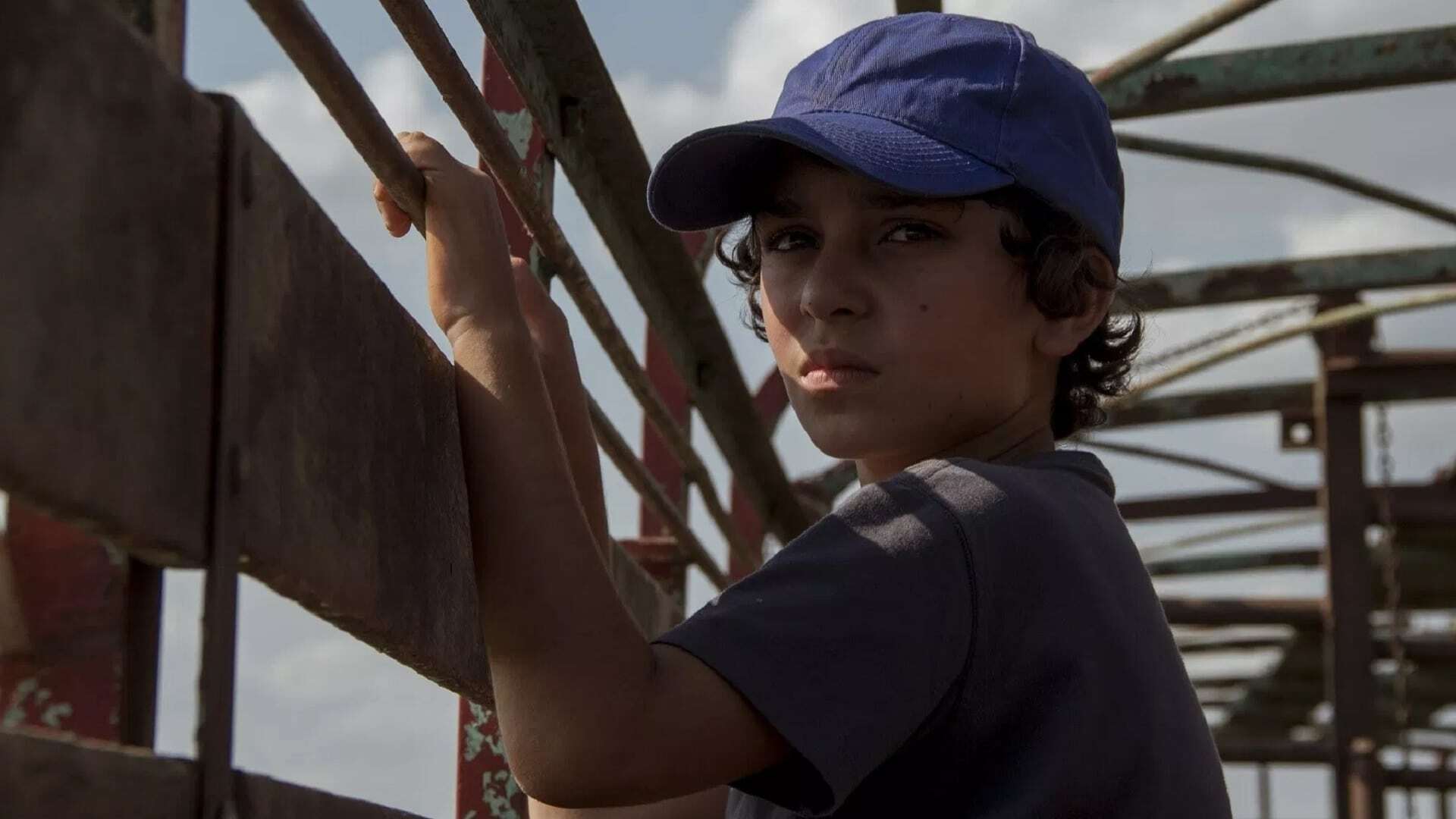 დელფინი  ქართულად -  Delfin