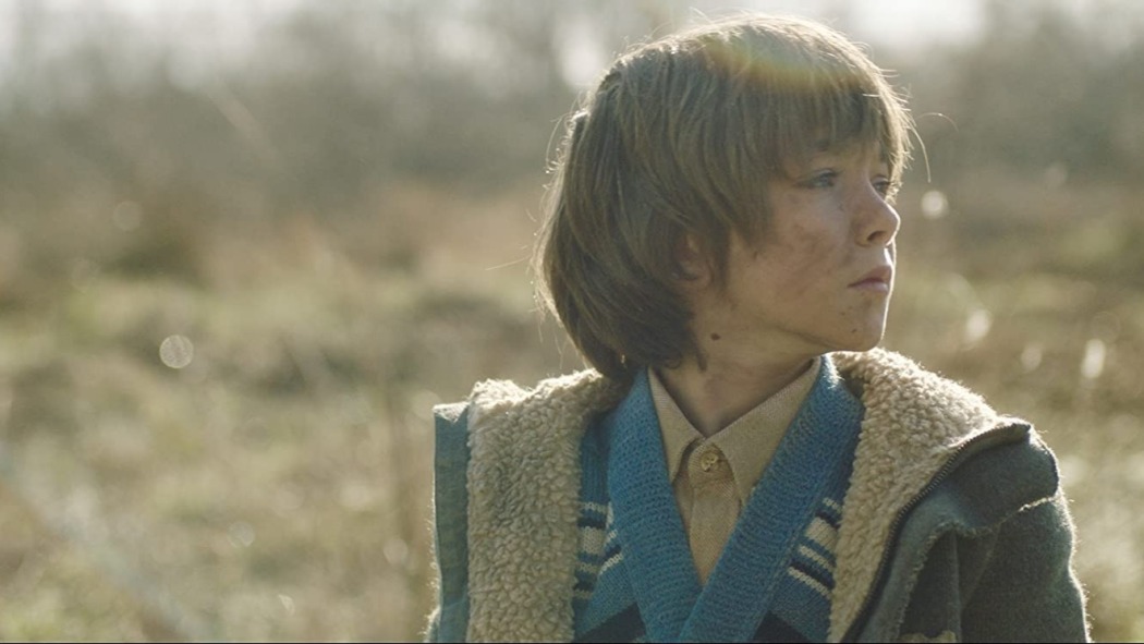 ზიზოტეკი  ქართულად -  Zizotek