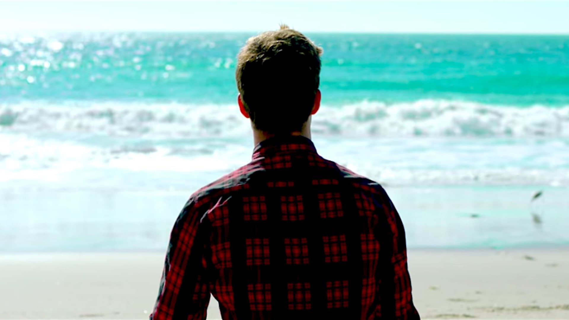 ყველაფერი თავისუფალია  ქართულად -  Everything Is Free