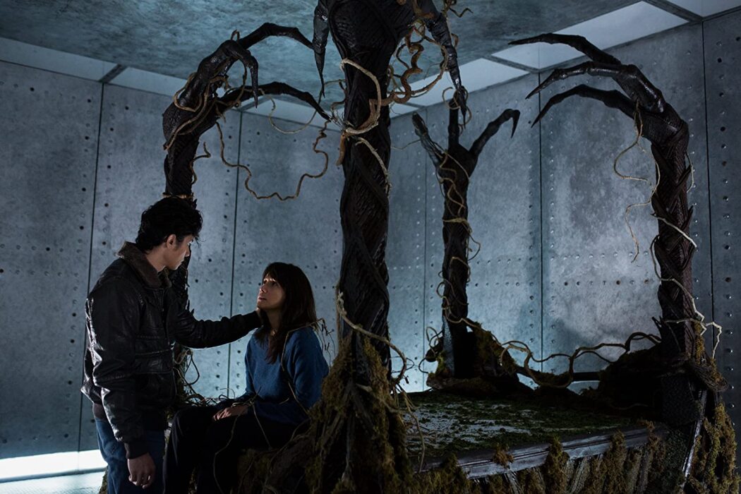 სასტუმრო აკაცია  ქართულად -  Motel Acacia