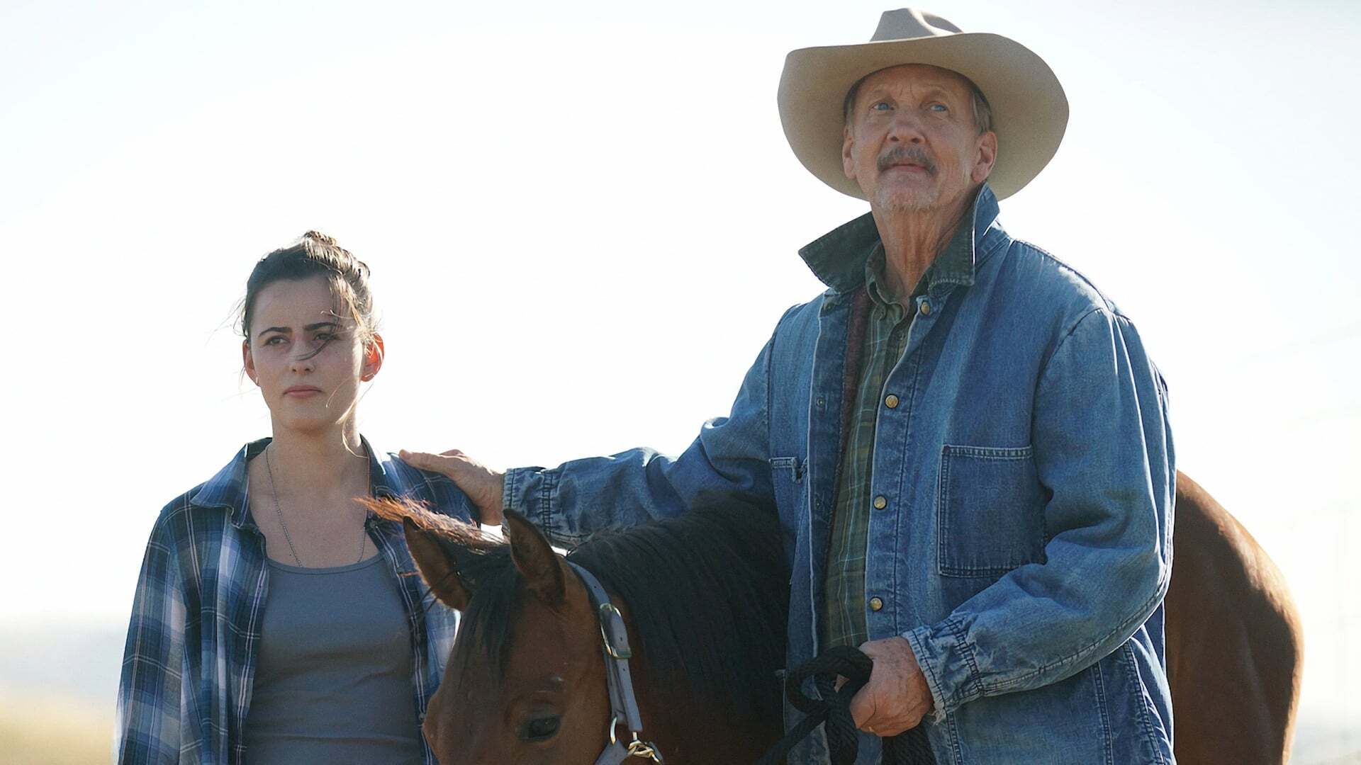 პექსტონის ოლქში  ქართულად -  The Stand at Paxton County