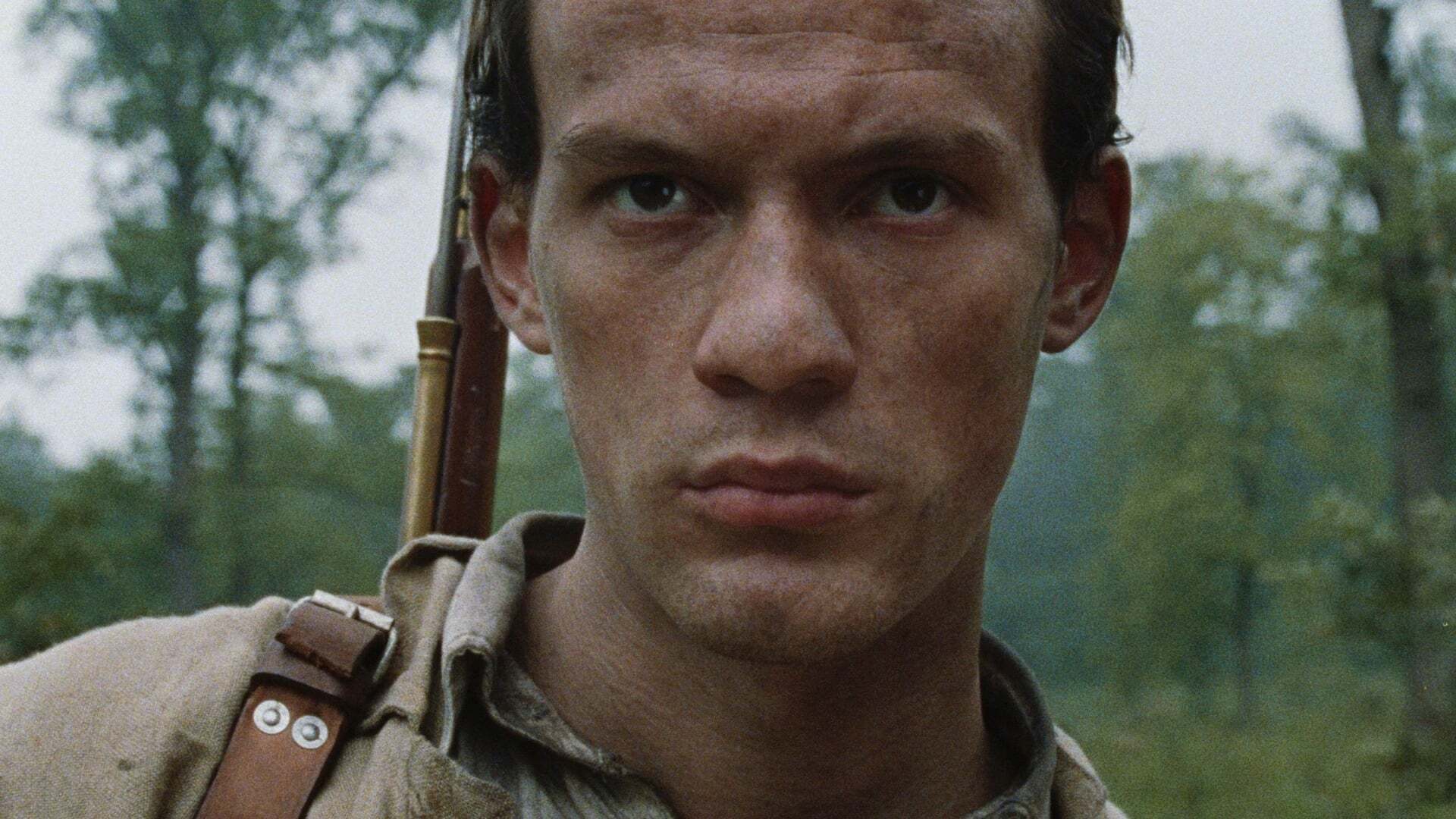 პარტიზანი  ქართულად -  Guerilla