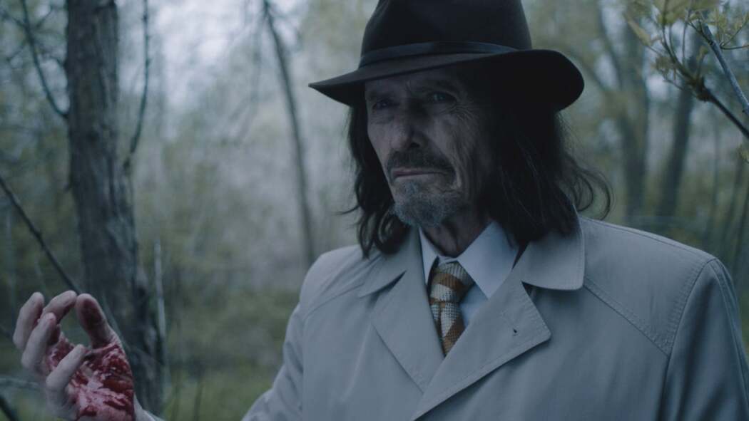 ოცნებების მხარე  ქართულად -  Dreamland