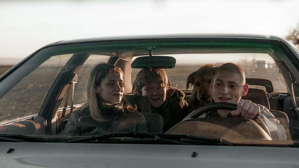 ზამთრის ბუზები  ქართულად -  Winter Flies