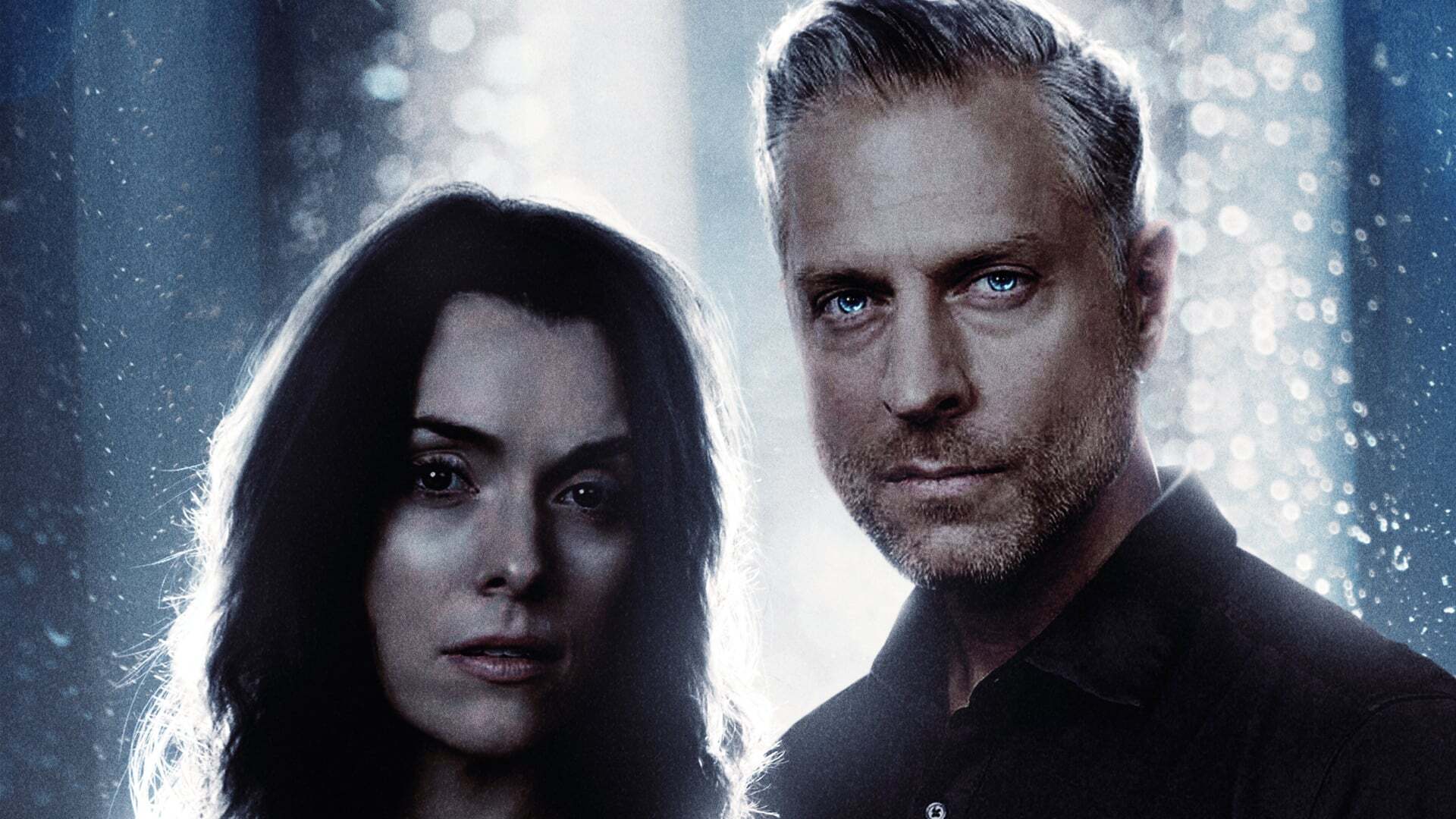 ვარიანტი  ქართულად -  Variant