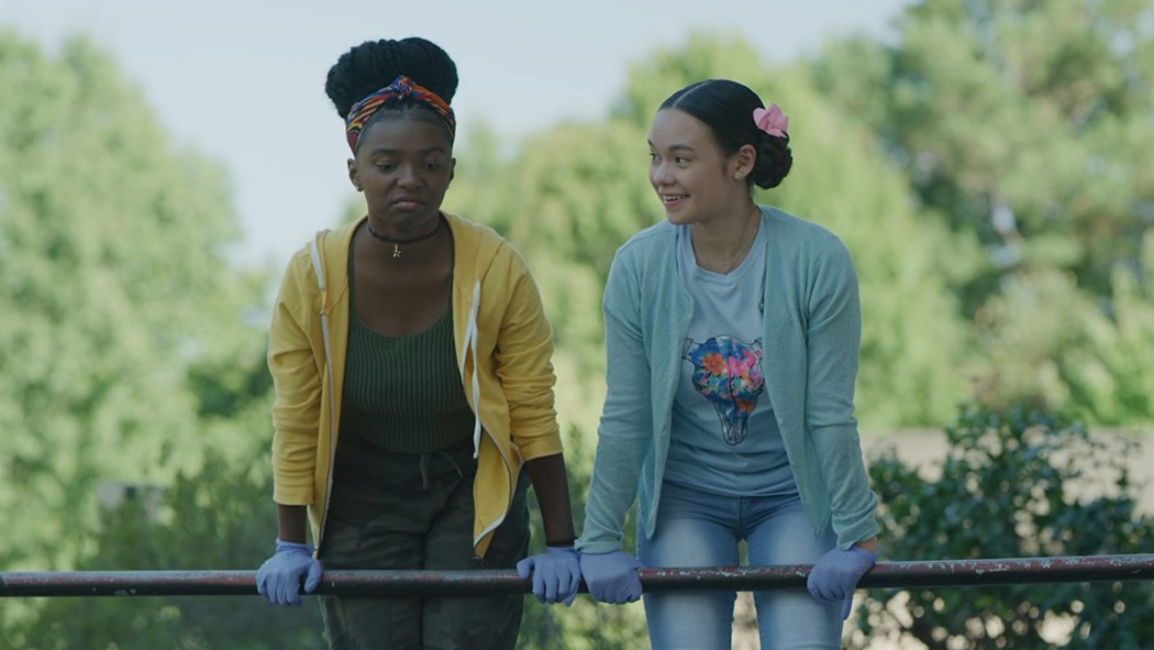 ჰიდენ ორჩარდის საიდუმლოებანი: Air B and B ძარცვის საქმე  ქართულად -  Hidden Orchard Mysteries: The Case of the Air B and B Robbery