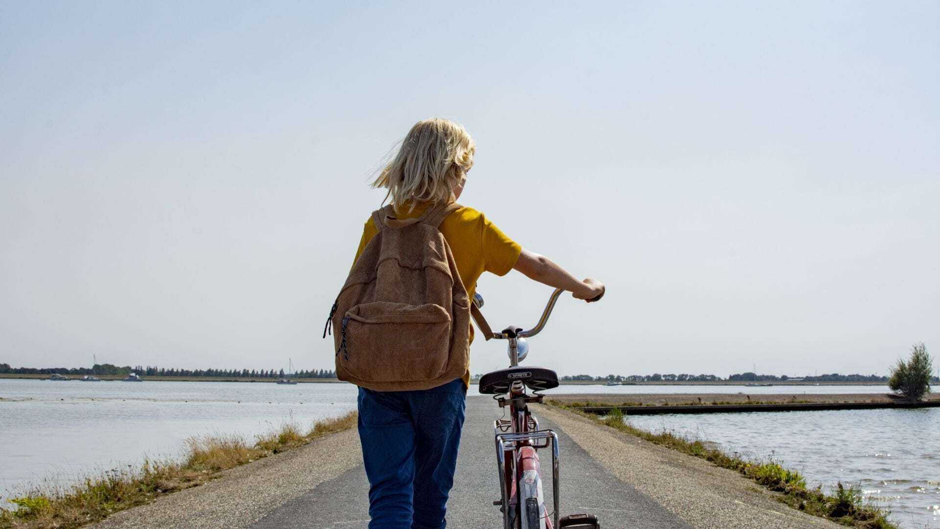 გამაღიზიანებელი კუნძული  ქართულად -  Het irritante eiland