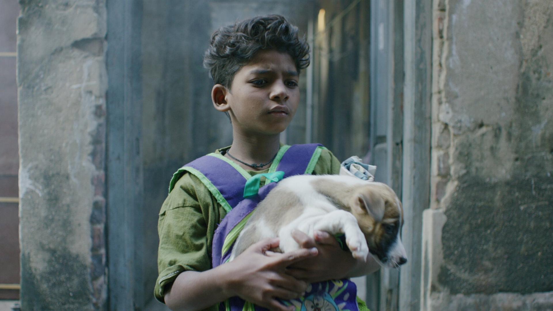 ჩიპა  ქართულად -  Chippa