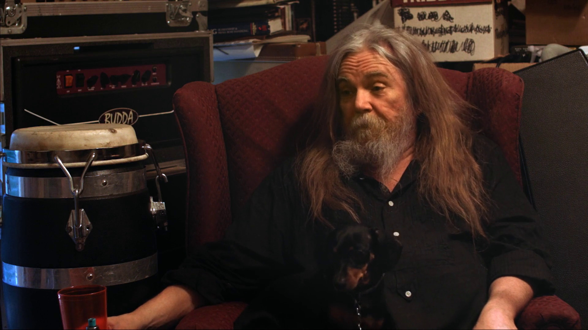 წითელი ძღლი  ქართულად -  Red Dog