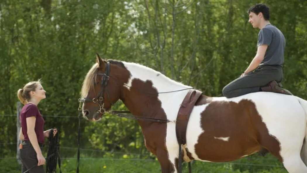 შეყვარება  ქართულად -  Falling for Love